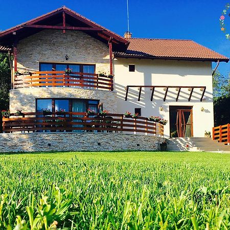 Pensiunea Casa Florela Capusu Mic Екстериор снимка