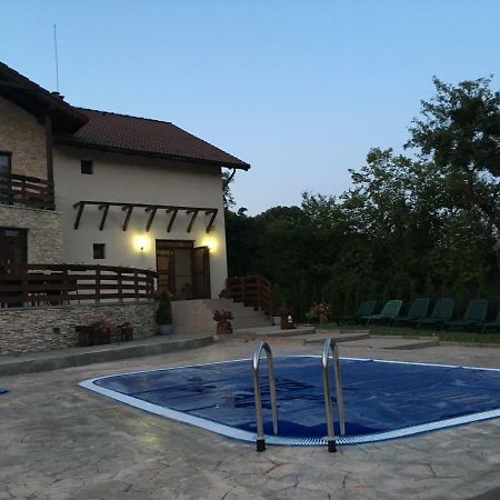 Pensiunea Casa Florela Capusu Mic Екстериор снимка